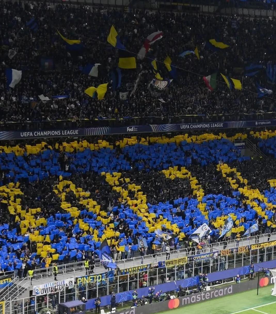 包含世界杯预选赛：蓝队晋级至决赛，引发球迷热议的词条