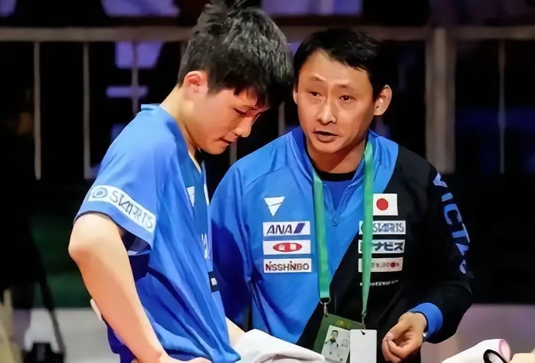 波兰队逆转法国队,张本智和高光表现 波兰队逆转法国队,张本智和高光表现